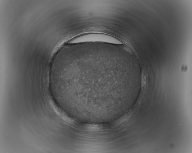 X0000111170349200907151305