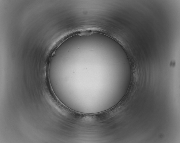 X0000111170350200907151305