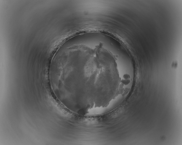 X0000111170353200907151305