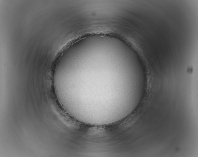 X0000111170354200907151305