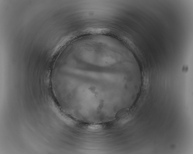 X0000111170357200907151305