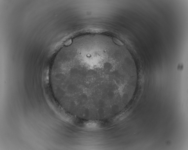 X0000111170358200907151305