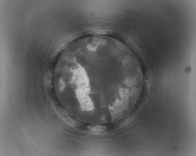 X0000111170359200907151305