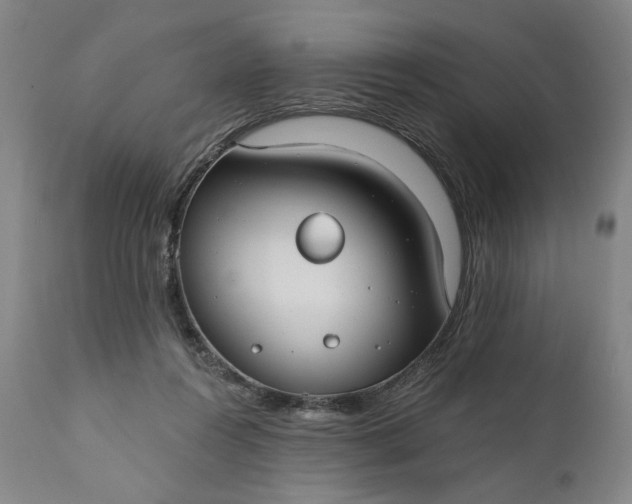 X0000111170360200907151305