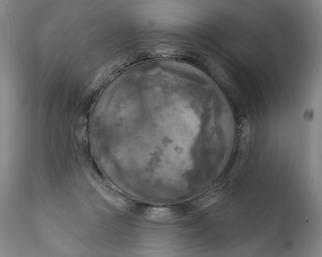 X0000111170361200907151305