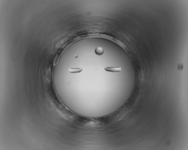 X0000111170364200907151305