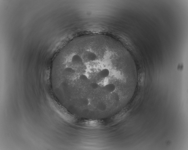 X0000111170365200907151305