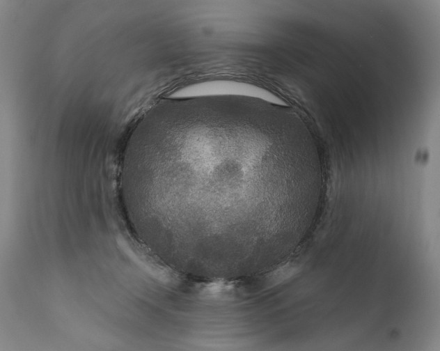 X0000111170366200907151305