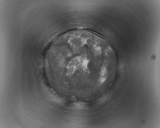 X0000111170367200907151305