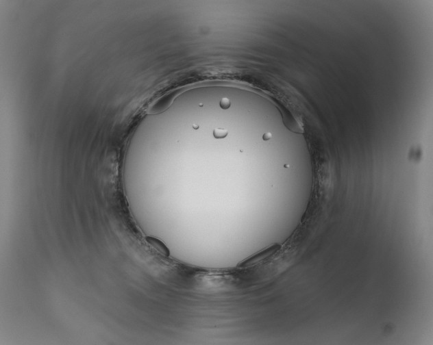 X0000111170372200907151305