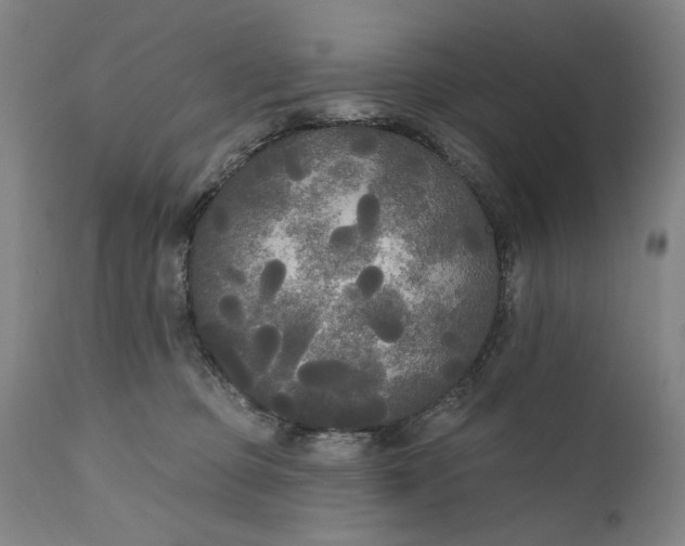 X0000111170373200907151305