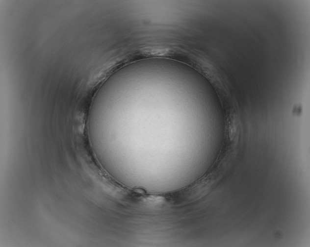 X0000111170374200907151305