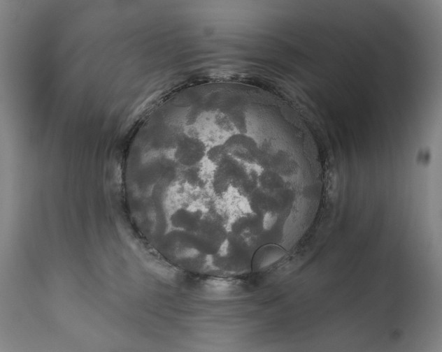 X0000111170375200907151305