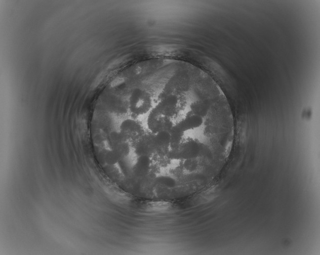 X0000111170377200907151305