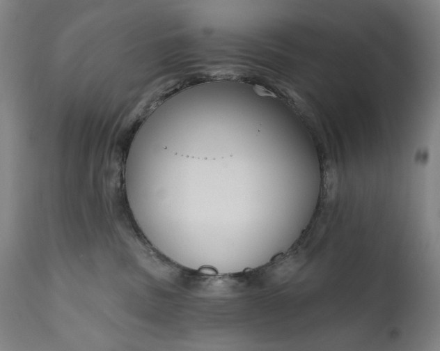 X0000111170379200907151305