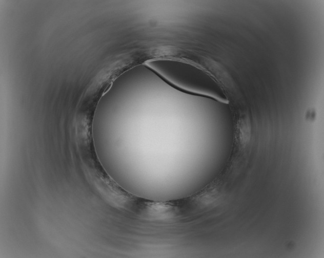 X0000111170380200907151305