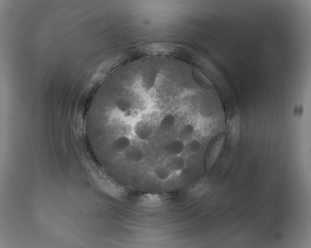 X0000111170381200907151305