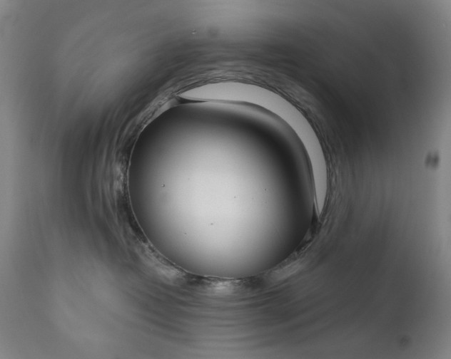 X0000111170382200907151305