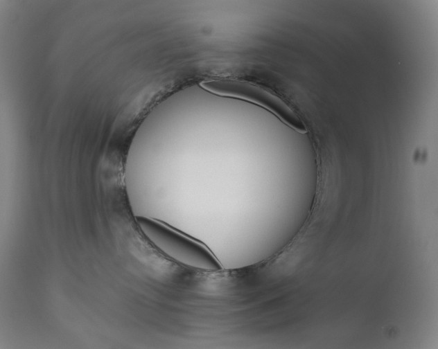 X0000111170384200907151305