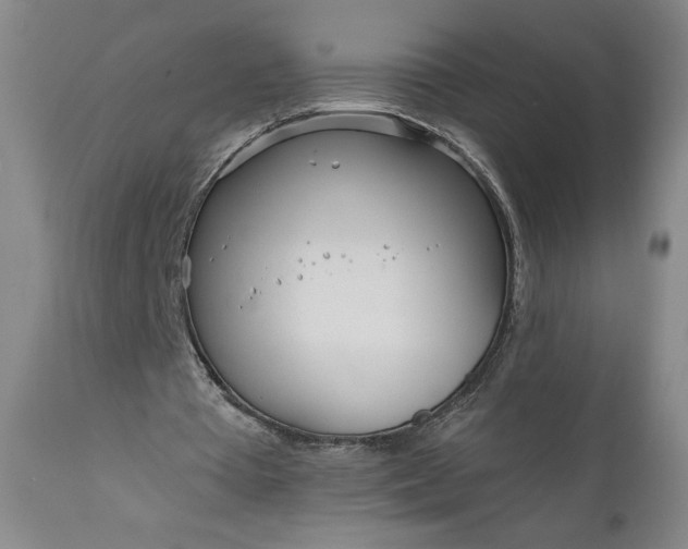 X0000111170385200907151304