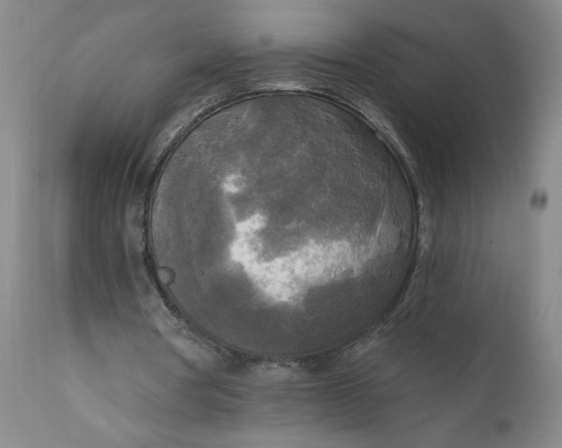 X0000111170386200907151304