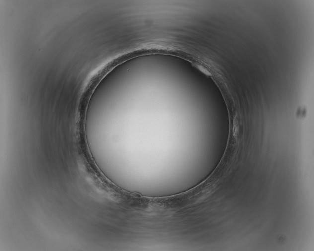 X0000111170388200907151304