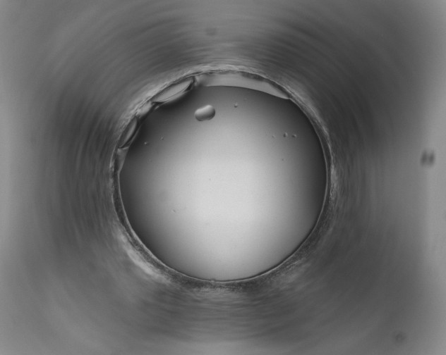 X0000111170389200907151304