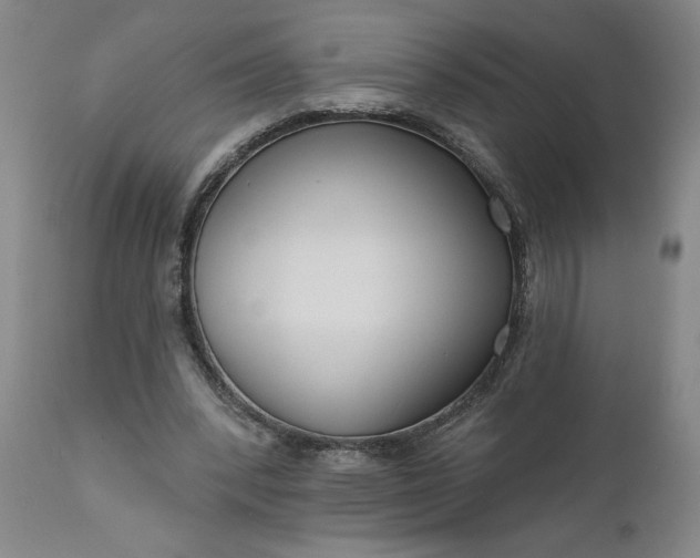 X0000111170392200907151304