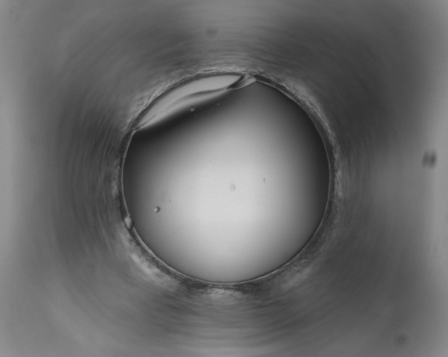 X0000111170393200907151304