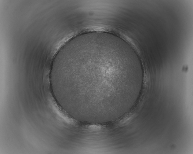 X0000111170394200907151304