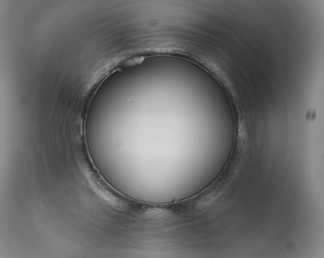 X0000111170397200907151304