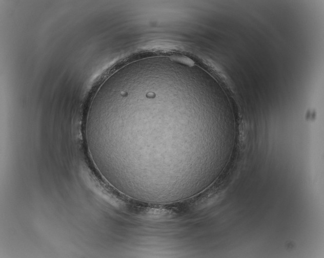 X0000111170399200907151304