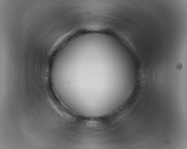 X0000111170400200907151304