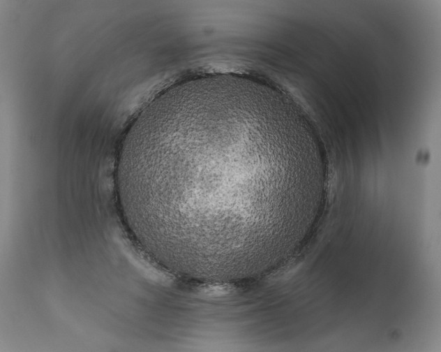 X0000111170402200907151304