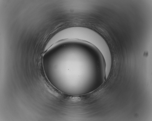 X0000111170409200907151304