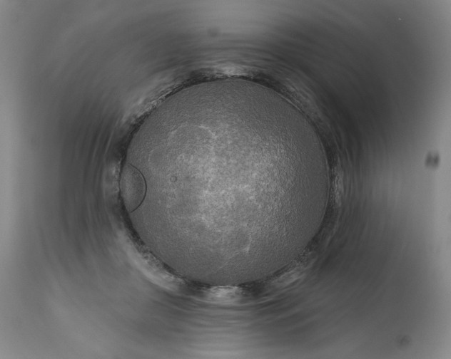 X0000111170410200907151304