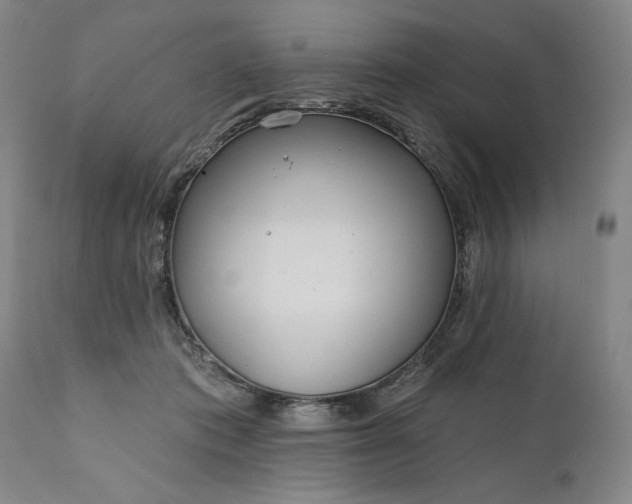 X0000111170413200907151304