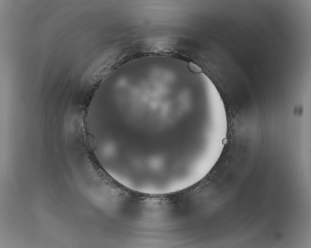 X0000111170415200907151304