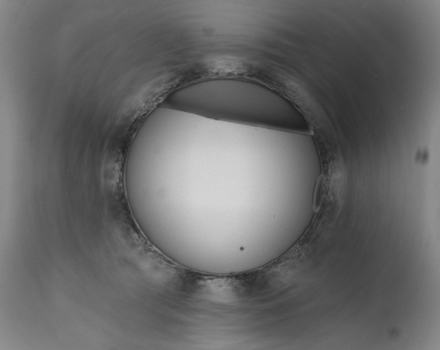 X0000111170417200907151304