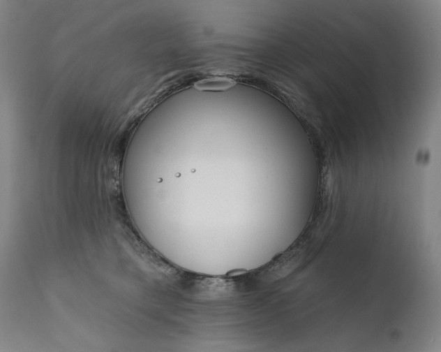 X0000111170421200907151304