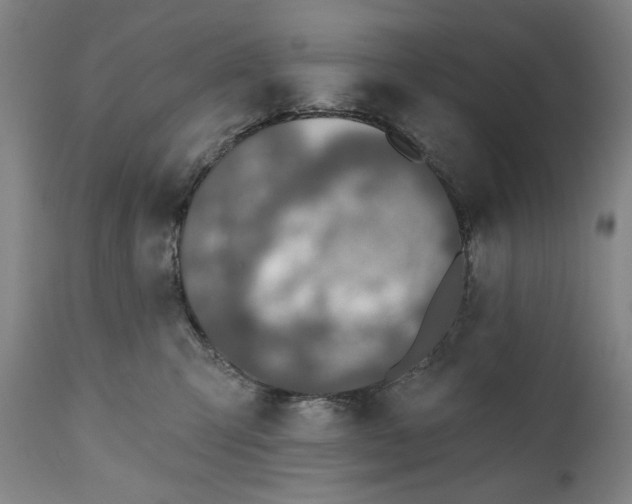 X0000111170423200907151304