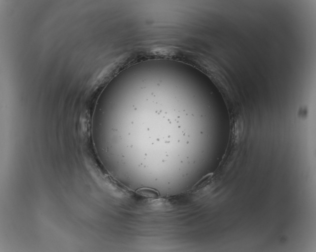 X0000111170424200907151304