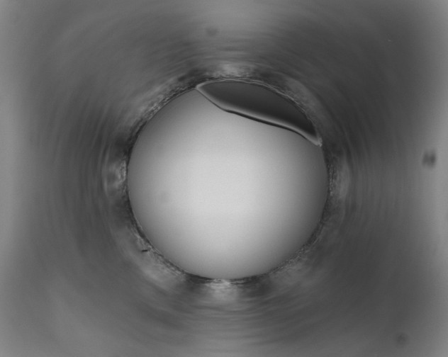 X0000111170425200907151304