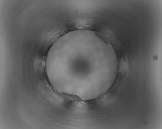 X0000111170427200907151304