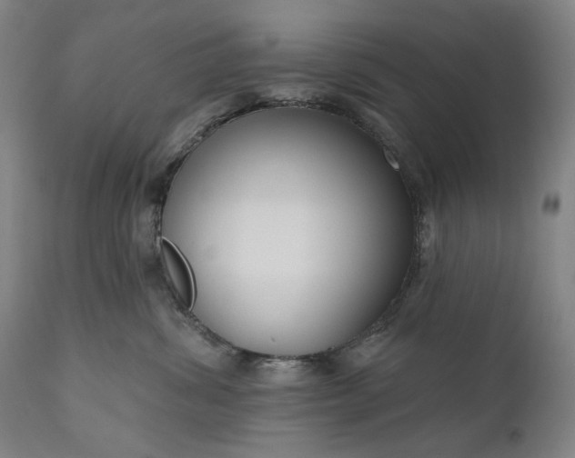 X0000111170428200907151304