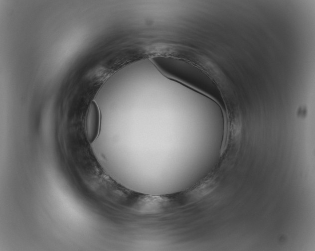 X0000111170429200907151304