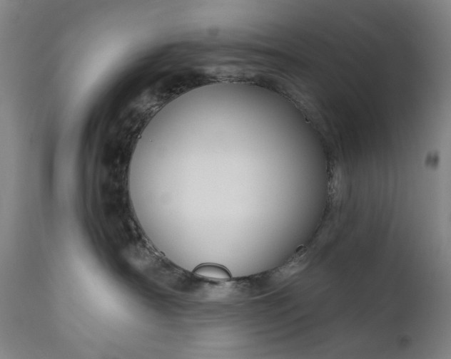 X0000111170430200907151304