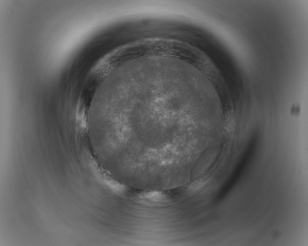 X0000111170431200907151304