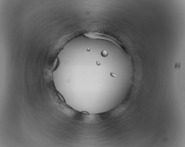 X0000111170432200907151304