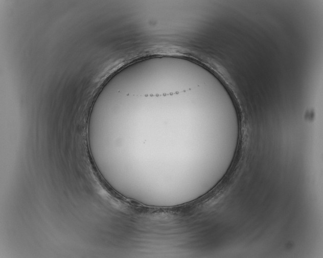 X0000111170433200907151303